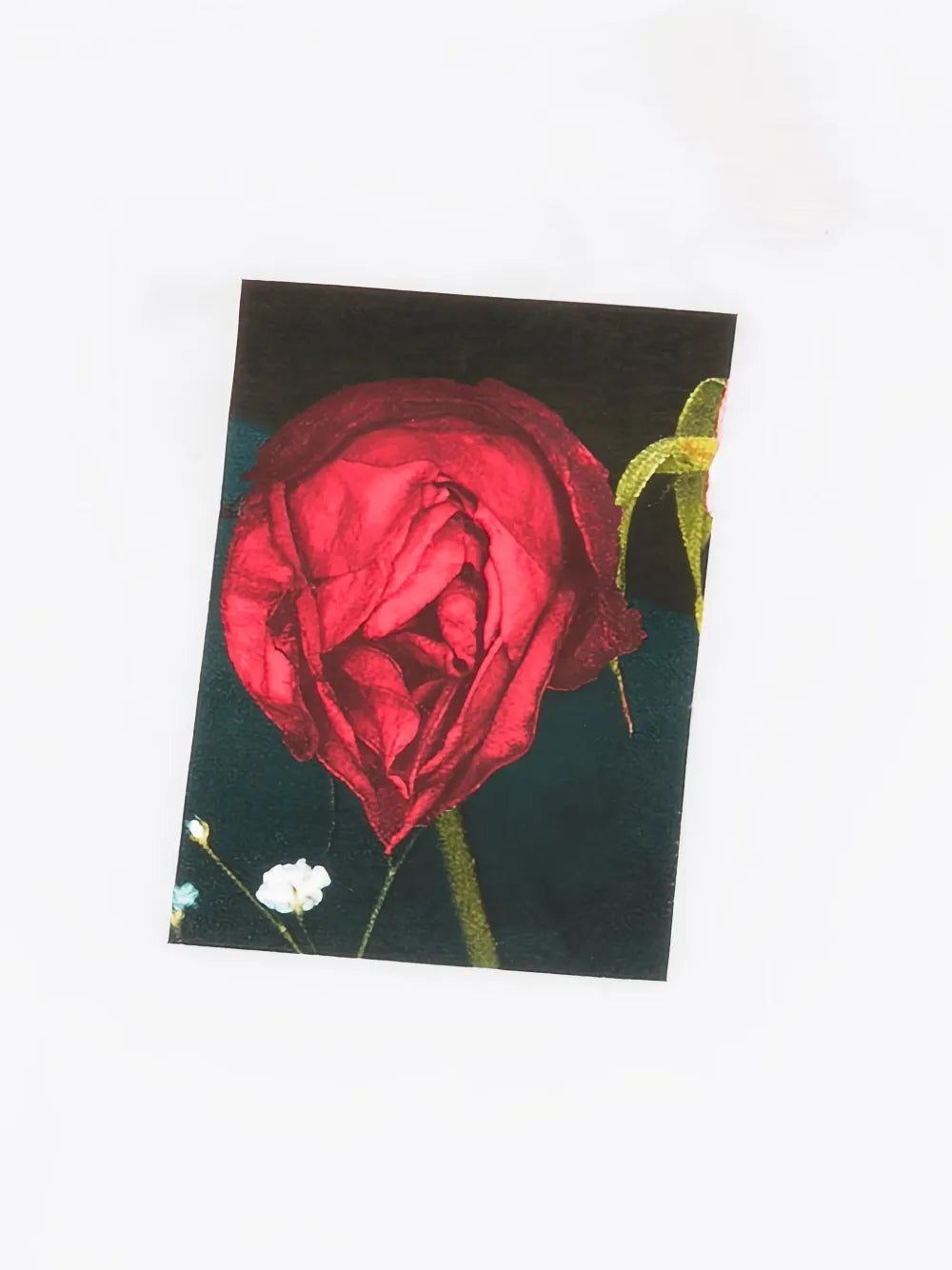 Supreme Araki Rose T-shirt - Blanco - imagen 3