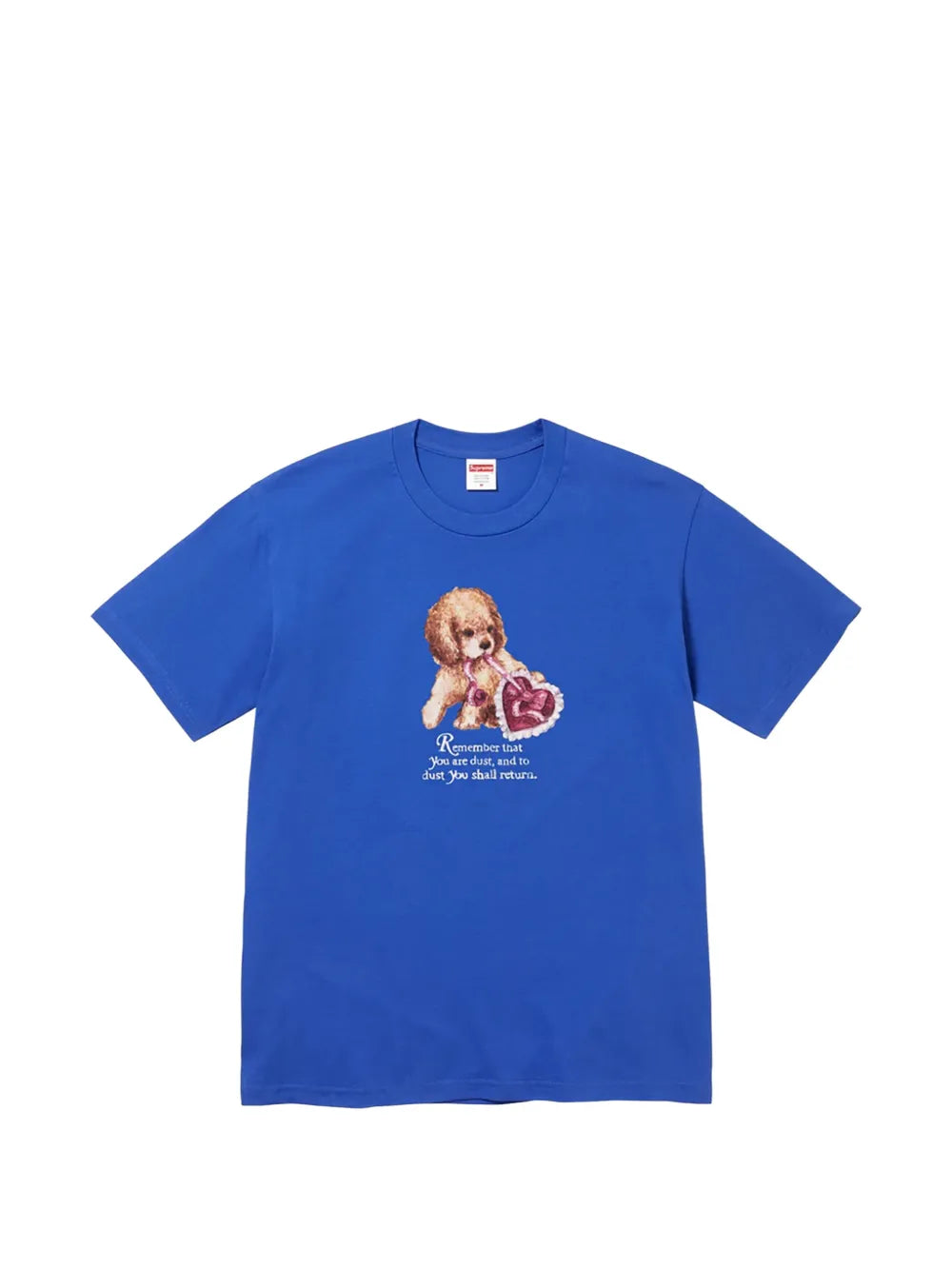 Supreme playera Dust - Azul - imagen 1