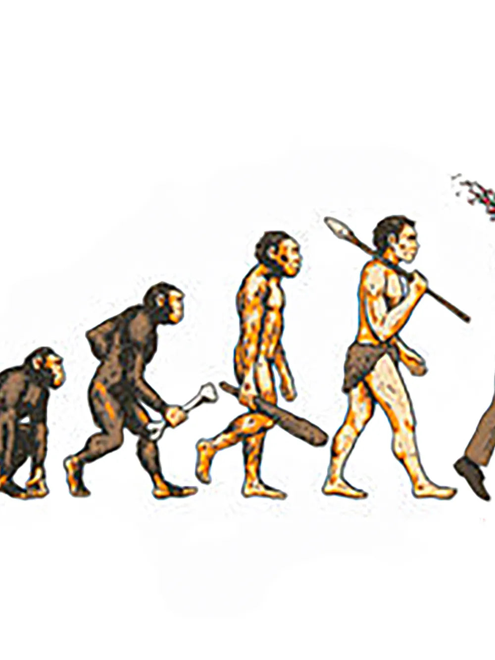 Supreme Evolution cotton T-shirt - Blanco - imagen 2