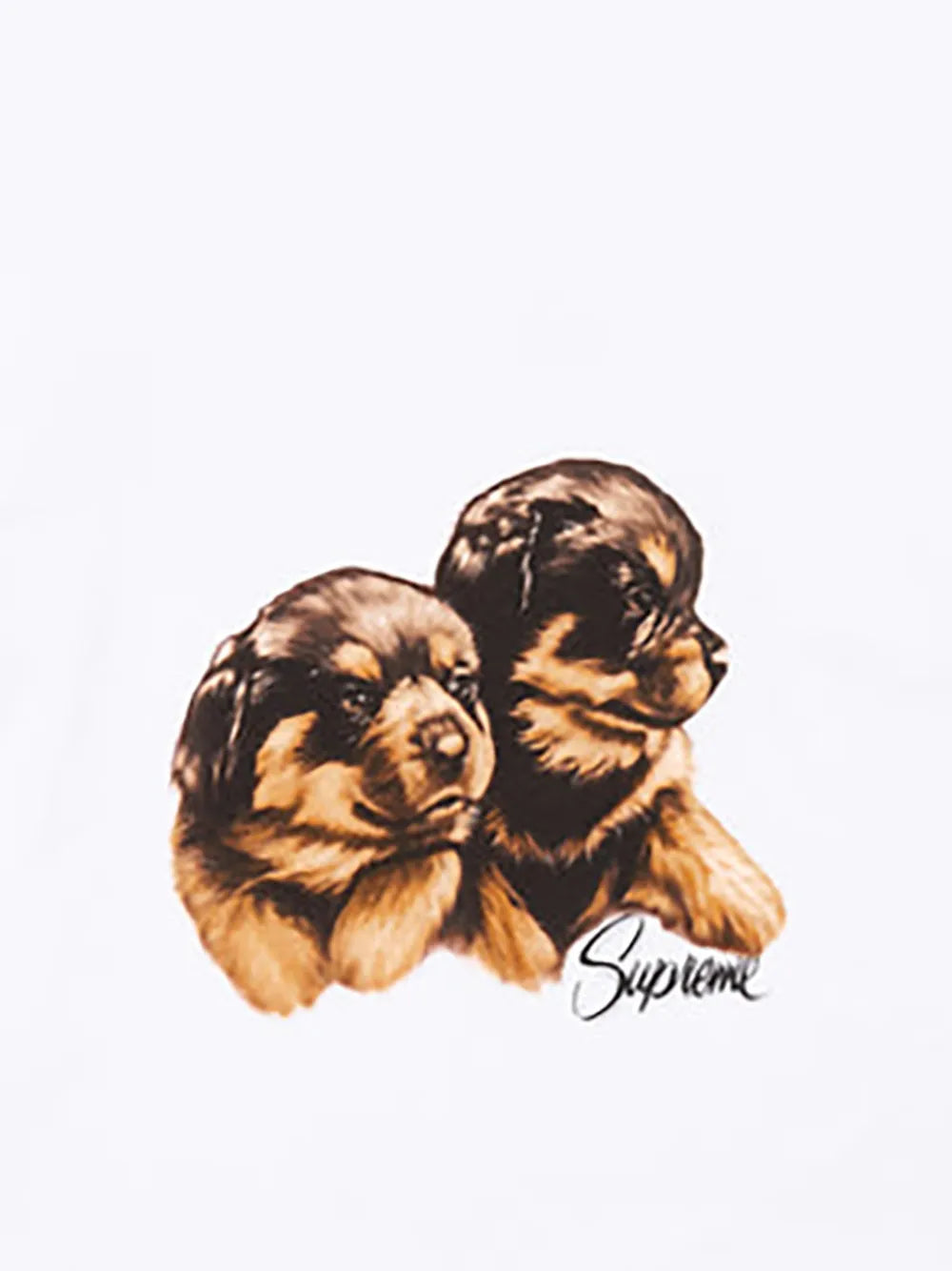 Supreme camiseta Puppies - Blanco - imagen 2