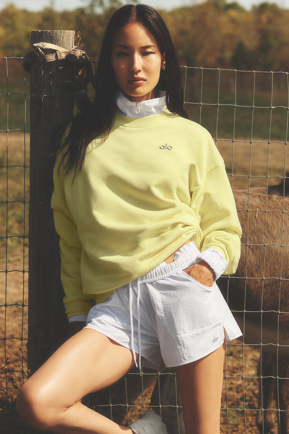 Alo Yoga Accolade Crew Neck Pullover - Sunshine - imagen 1