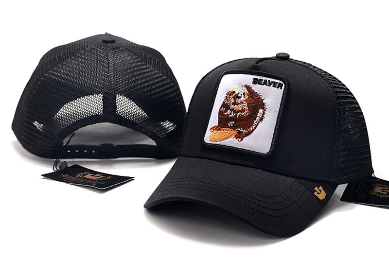 Gorra Goorin Bros BEAYER