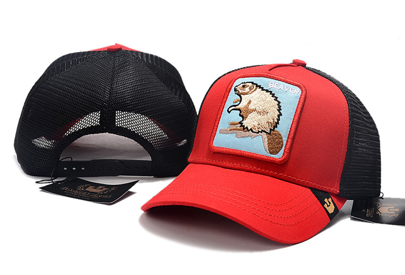 Gorra Goorin Bros BEAVER