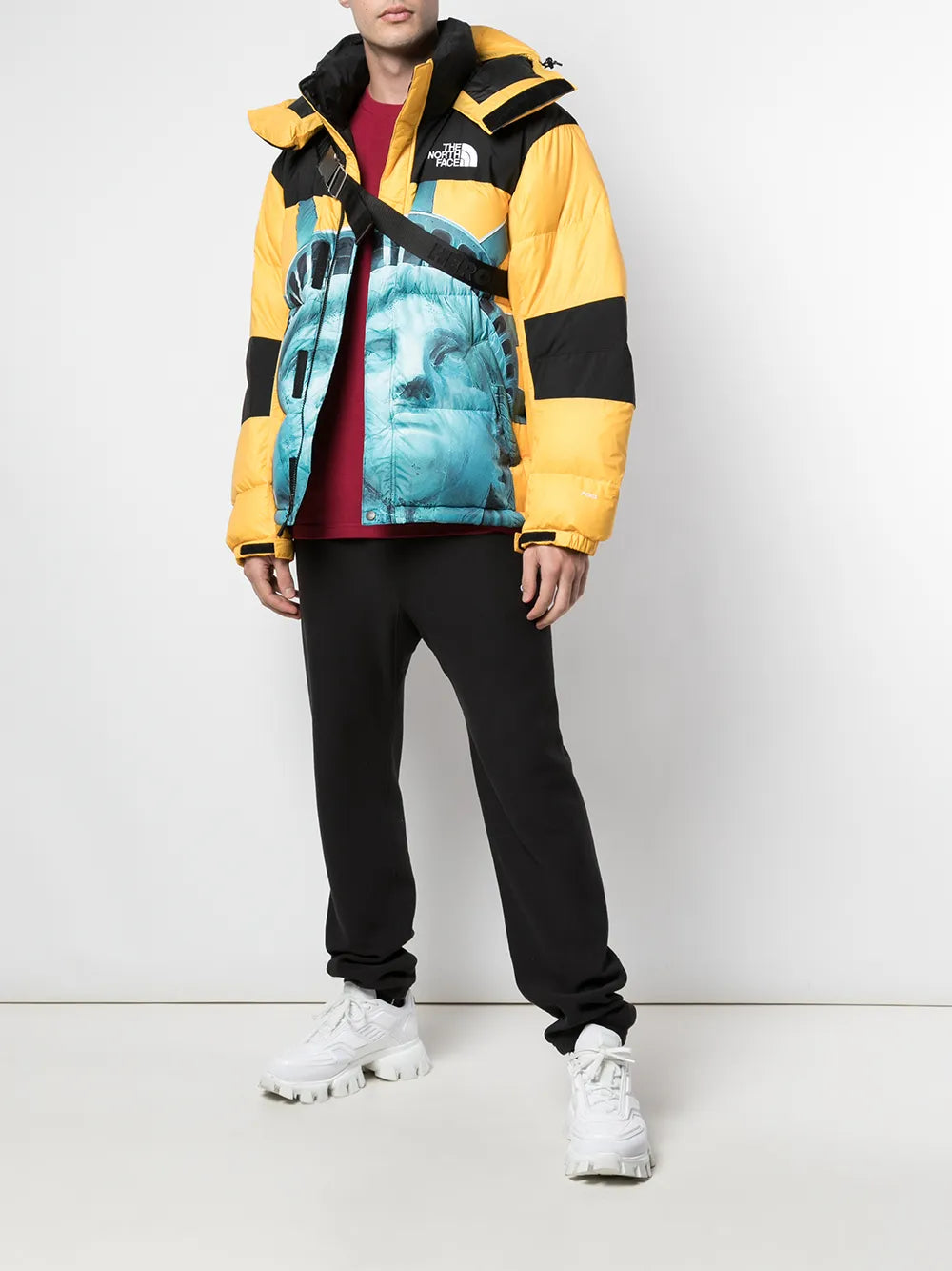 Supreme chamarra Baltoro de Supreme x The North Face - Amarillo - imagen 2