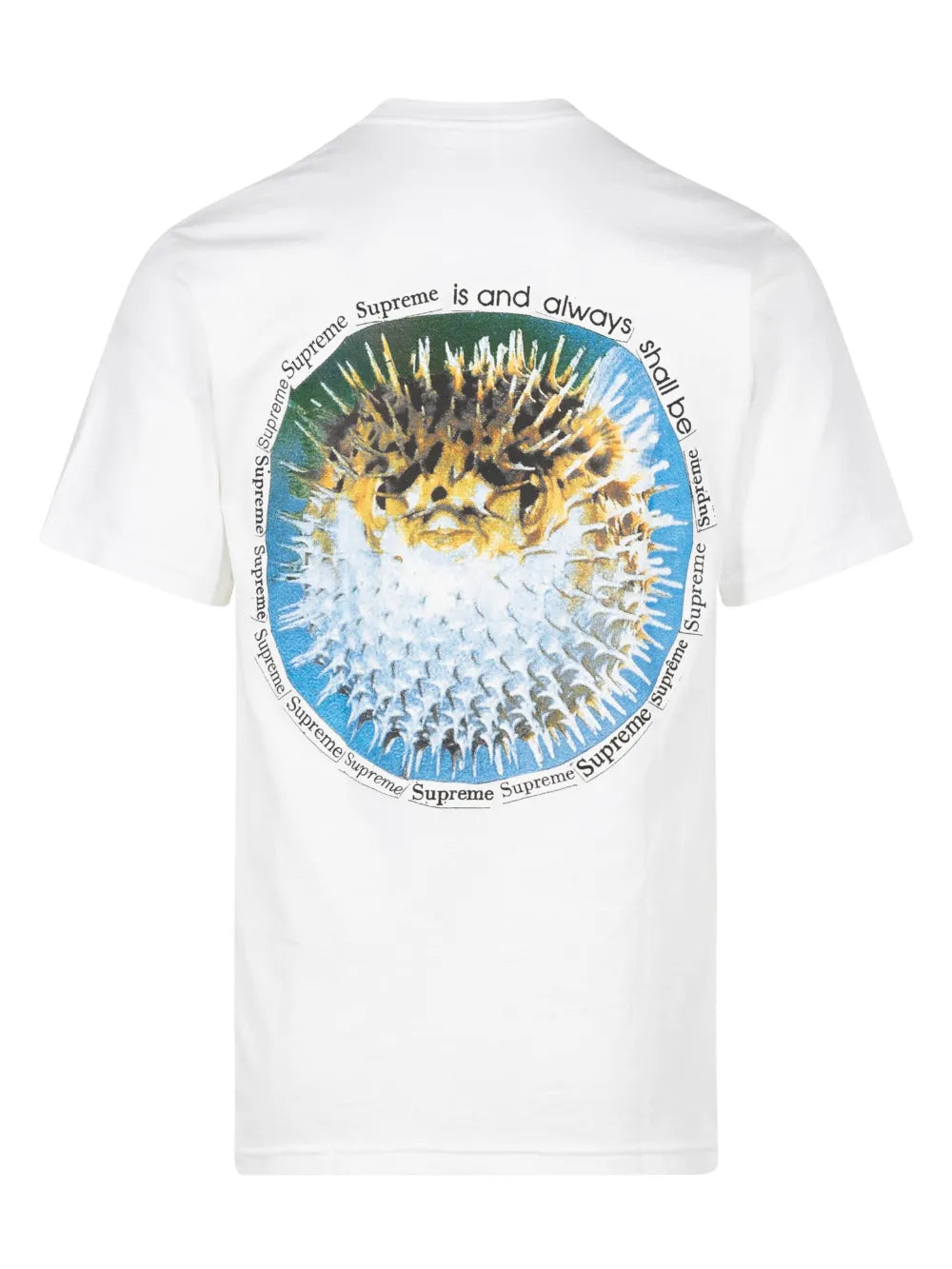 Supreme playera Blowfish - Blanco - imagen 2