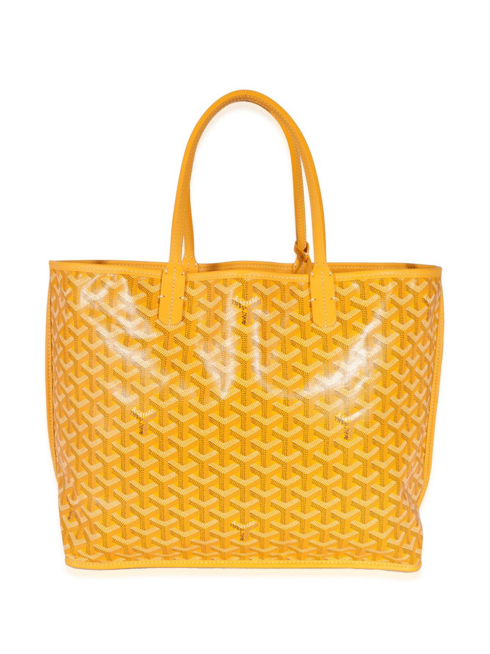 Goyard tote Anjou PM 2022 pre-owned