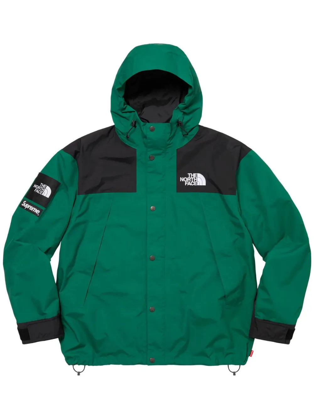 Supreme chamarra de montaña de SUPREME x The North Face - Verde - imagen 1