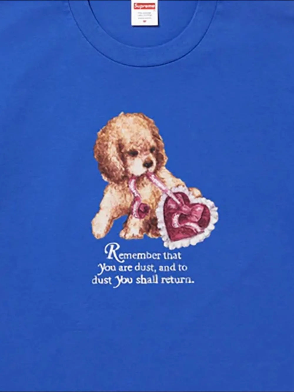Supreme playera Dust - Azul - imagen 2