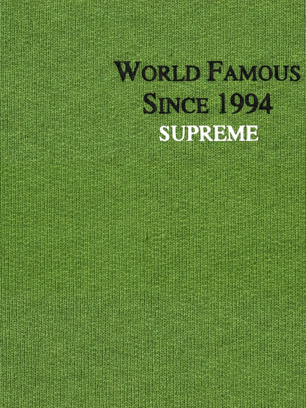 Supreme World Famous Micro hoodie - Verde - imagen 2