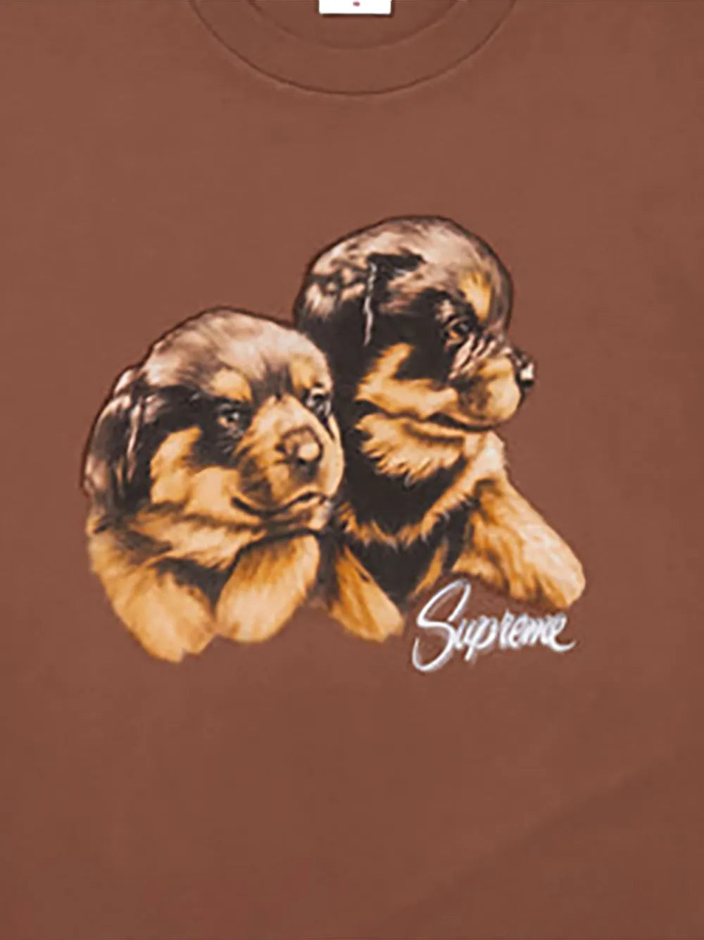 Supreme camiseta Puppies con motivo gráfico - Marrón - imagen 2